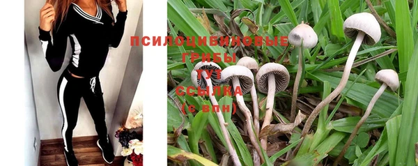 меф Пересвет