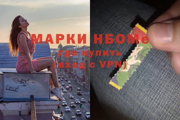 гидра Абаза