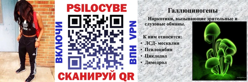 продажа наркотиков  Каргополь  Галлюциногенные грибы Psilocybe 